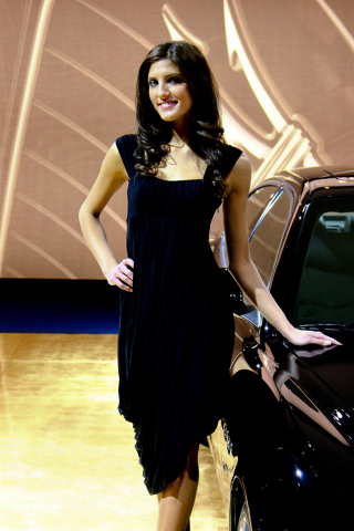 Illustration for article titled Booth Professionals Of The 2009 Detroit Auto Show